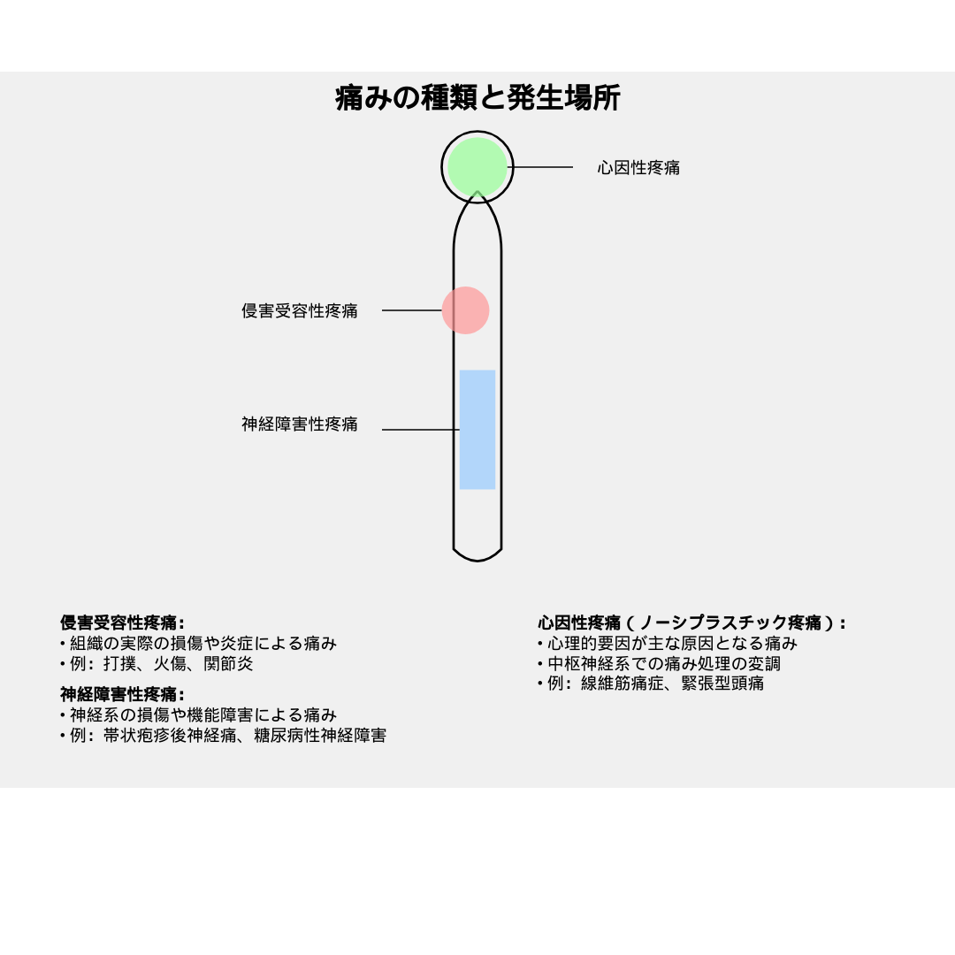 名称未設定のデザイン (15).png