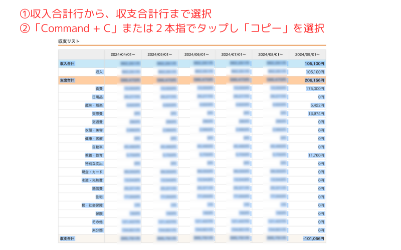 240905_支出管理表にペースト (6).png
