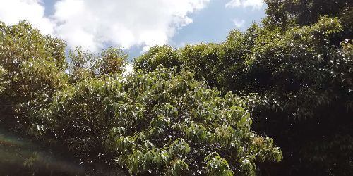 image-yoyogi-18.jpg