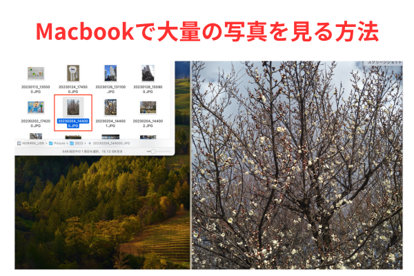 Macbookで大量の写真を見る方法.png