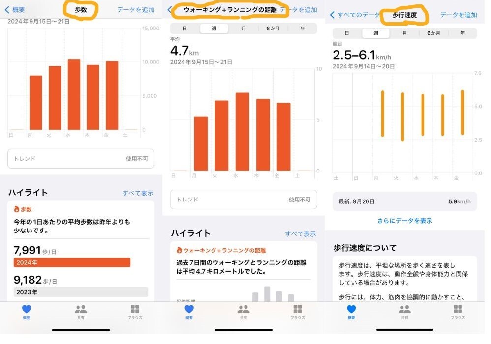 名称未設定のデザイン.jpg