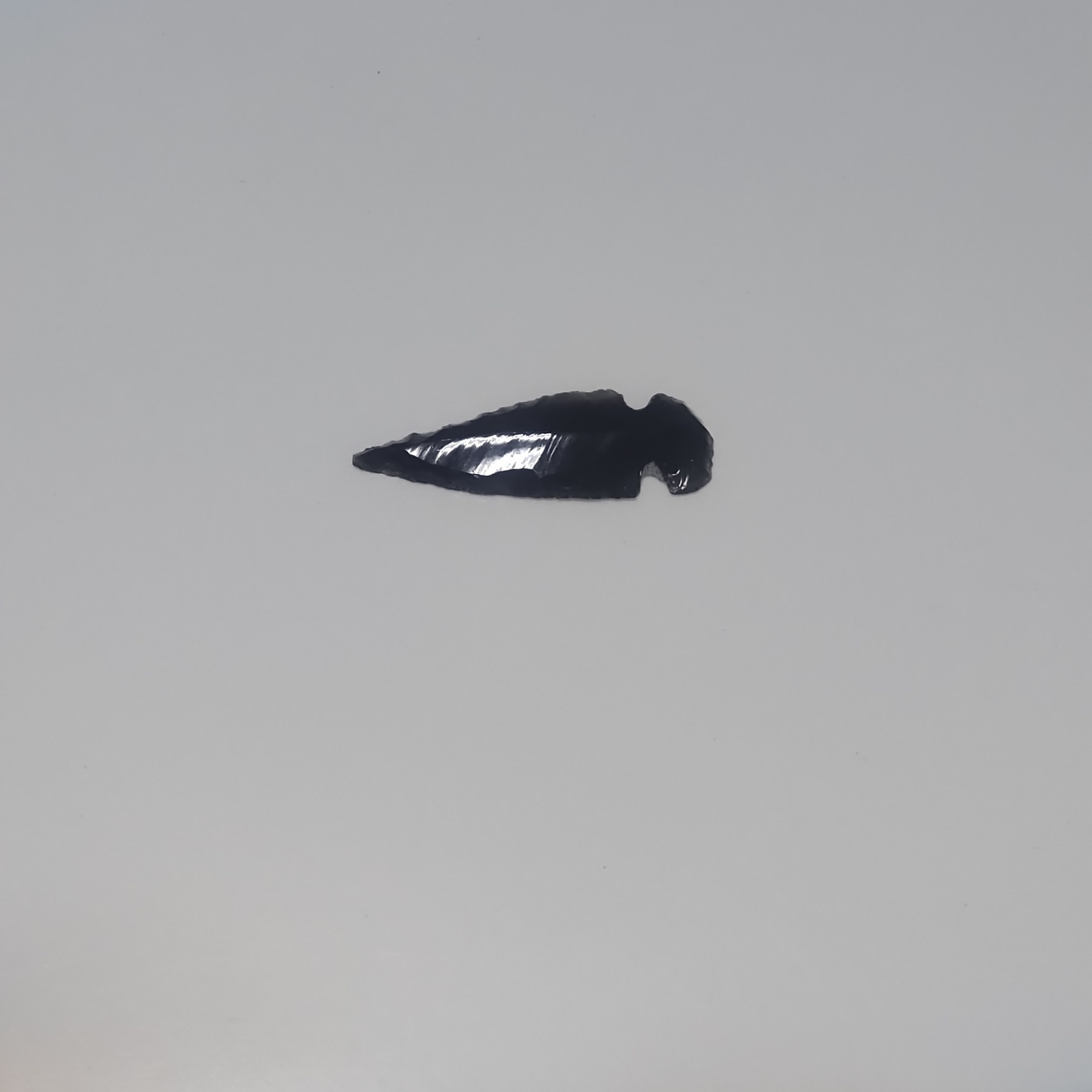 DSC_2553.JPG
