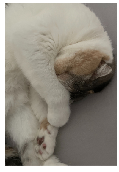 名称未設定のデザイン (4).png