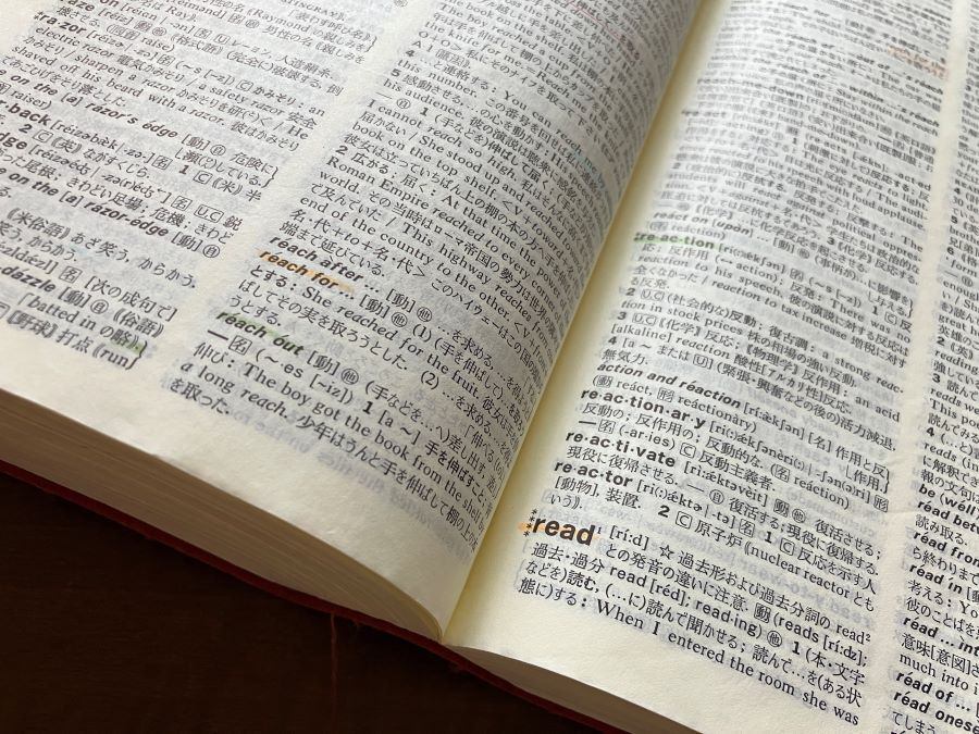 my-school-dictionary.JPG