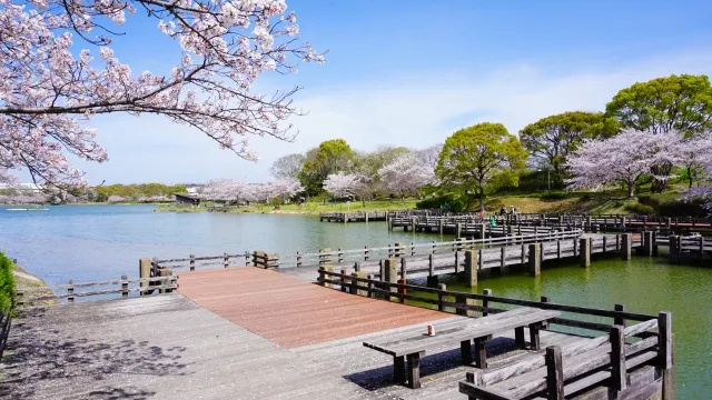 駕与丁公園