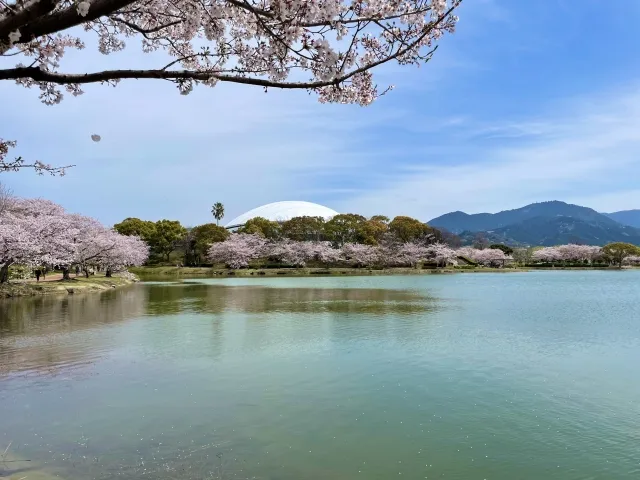 福岡市城南区の閑静な住宅街に隣接する公園の風景