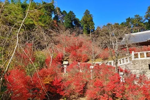 篠栗町の風景