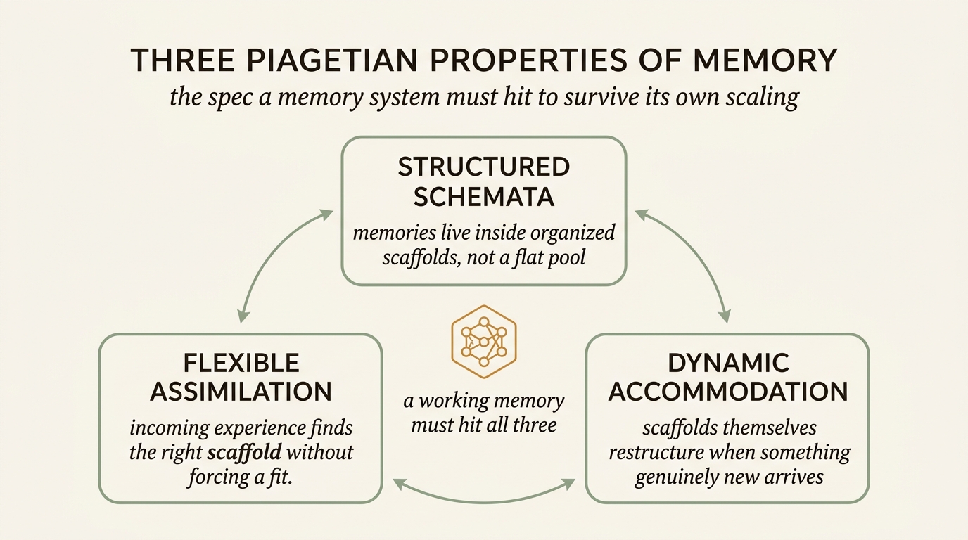 Triangular diagram of the three Piagetian properties of constructivist memory. Top tile STRUCTURED SCHEMATA — memories live inside organized scaffolds, not a flat pool. Lower-left tile FLEXIBLE ASSIMILATION — incoming experience finds the right scaffold without forcing a fit. Lower-right tile DYNAMIC ACCOMMODATION — scaffolds themselves restructure when something genuinely new arrives. Center hexagonal icon with caption: a working memory must hit all three. Curved sage arrows connect the three tiles in a cycle.