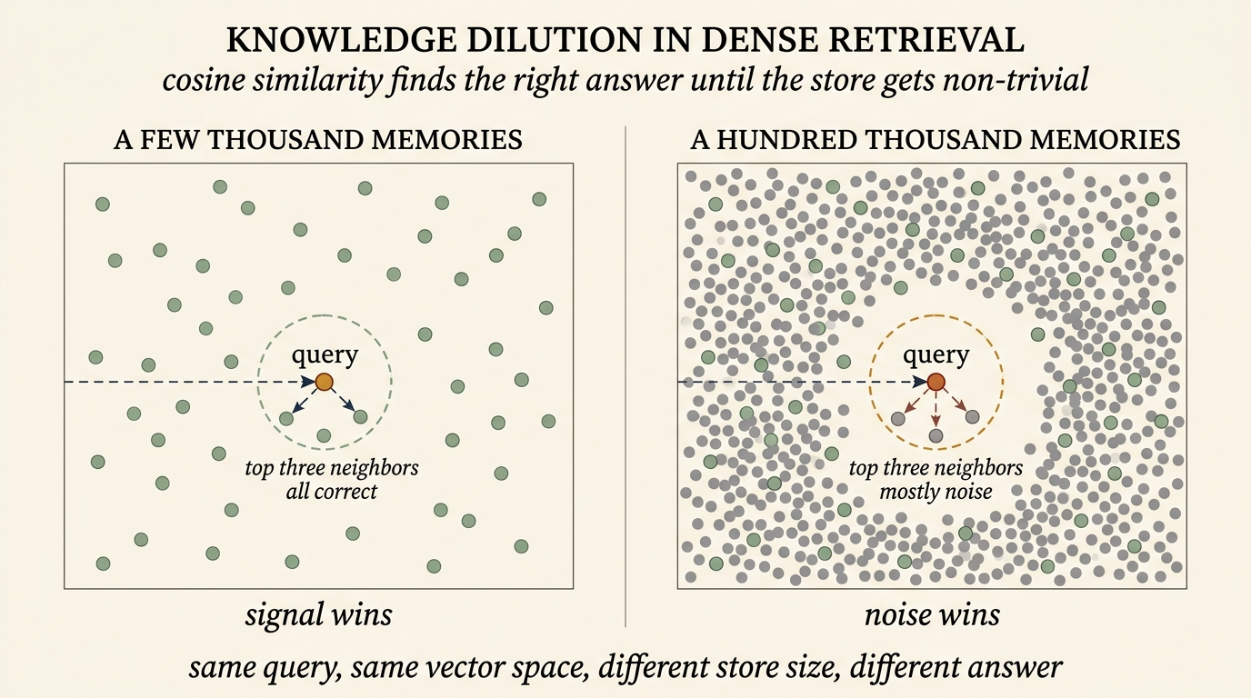 Two-panel scatter-plot diagram of knowledge dilution in dense retrieval. Left panel A FEW THOUSAND MEMORIES shows a sparse vector space with about thirty sage-green dots, an amber query dot at the center, and a dashed circle around three sage-green nearest neighbors labeled top three neighbors all correct. Caption: signal wins. Right panel A HUNDRED THOUSAND MEMORIES shows the same vector space now packed with hundreds of grey noise dots; the same amber query has a dashed circle around three nearest neighbors that are now mostly grey noise dots, labeled top three neighbors mostly noise. Caption: noise wins. Bottom caption: same query, same vector space, different store size, different answer.