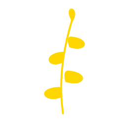 b632df7a-59a2-4d29-a0c7-ce95996d6208_d14a35d997e9f40d