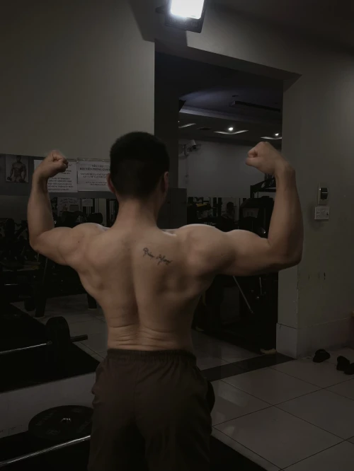Hình ảnh hoạt động