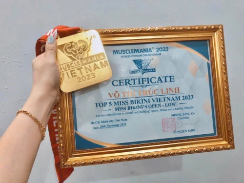 Hình ảnh hoạt động