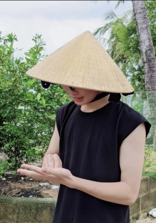 Hình ảnh hoạt động