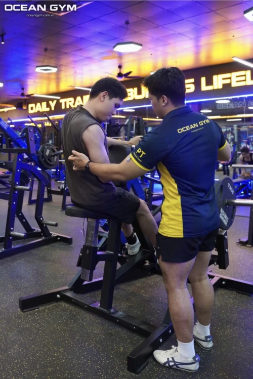 Hình ảnh hoạt động