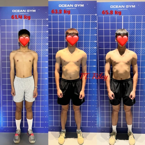 Hình ảnh hoạt động