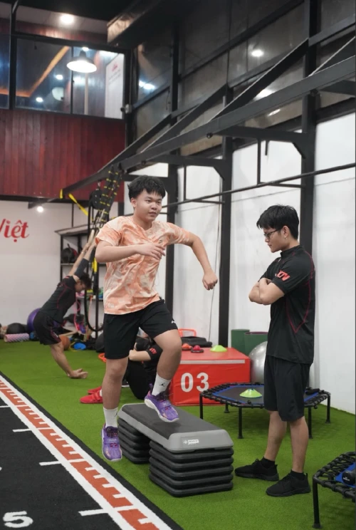 Hình ảnh hoạt động