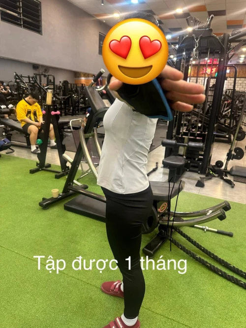 Hình ảnh hoạt động