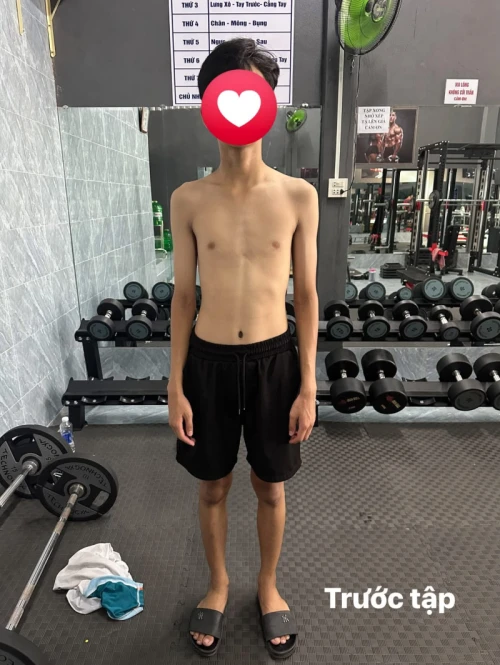 Hình ảnh hoạt động