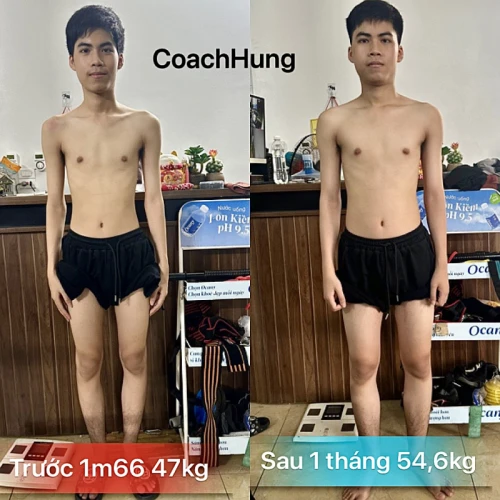 Hình ảnh hoạt động