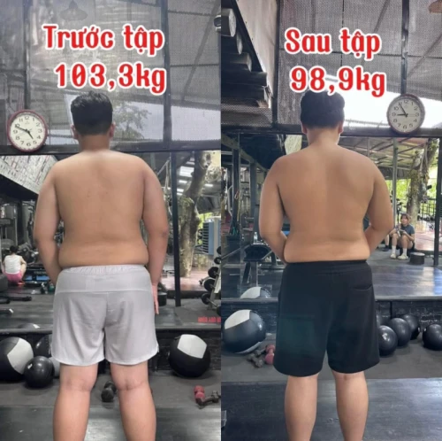 Hình ảnh hoạt động