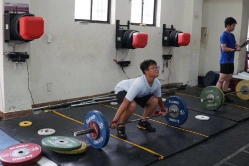 Hình ảnh hoạt động