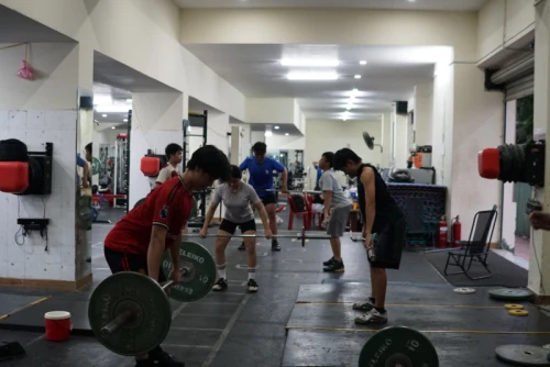 Hình ảnh hoạt động