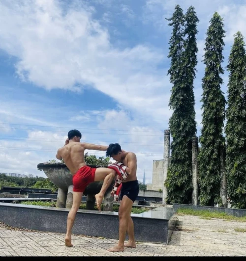 Hình ảnh hoạt động