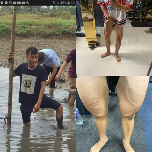 Hình ảnh hoạt động