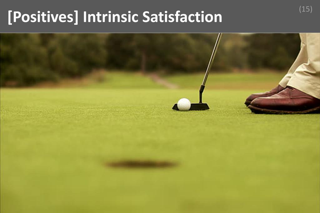 ### Intrinsic Satisfaction Image