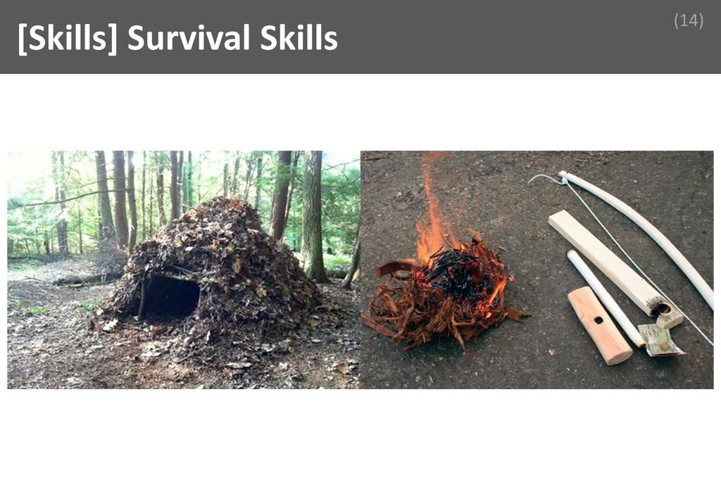 ### Survival Skills Image