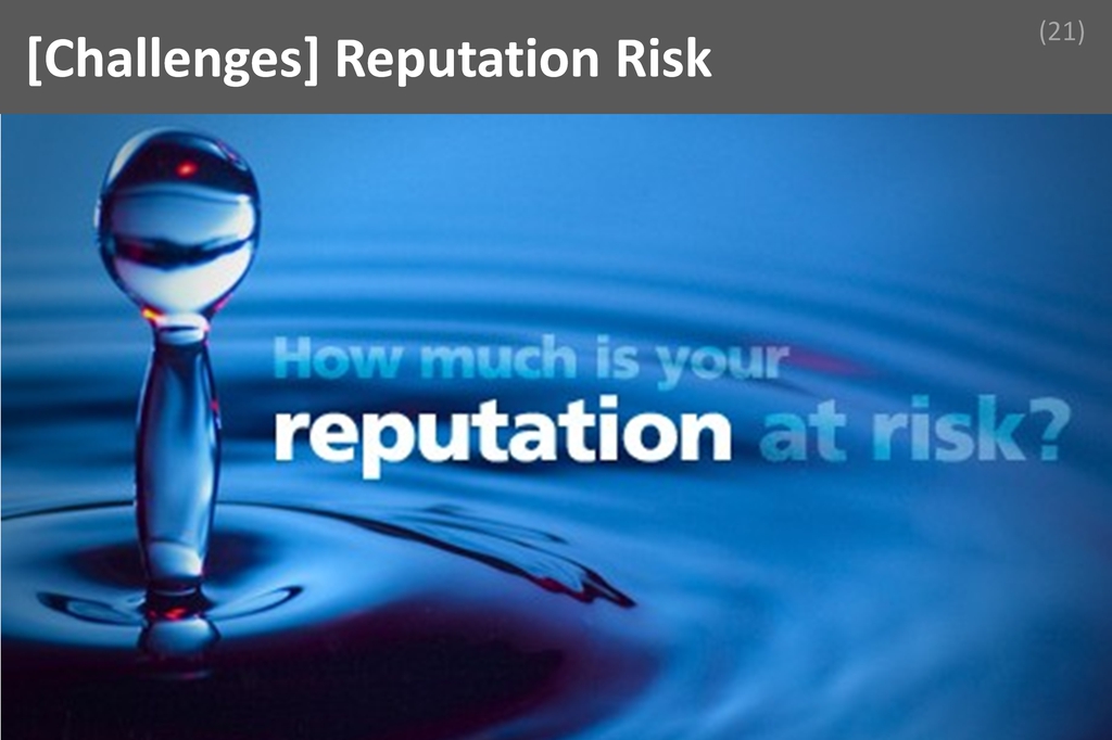 ### Reputation Risk Image