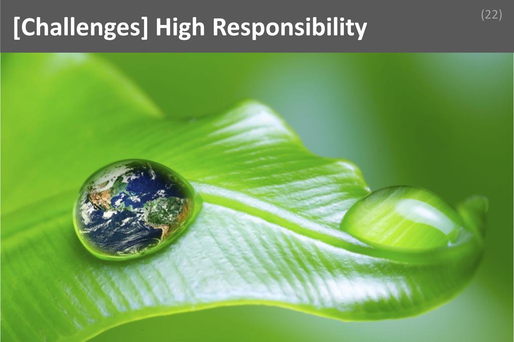 ### High Responsibility Image