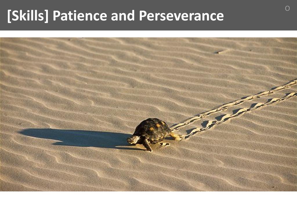 ### Patience and Perceverance Image