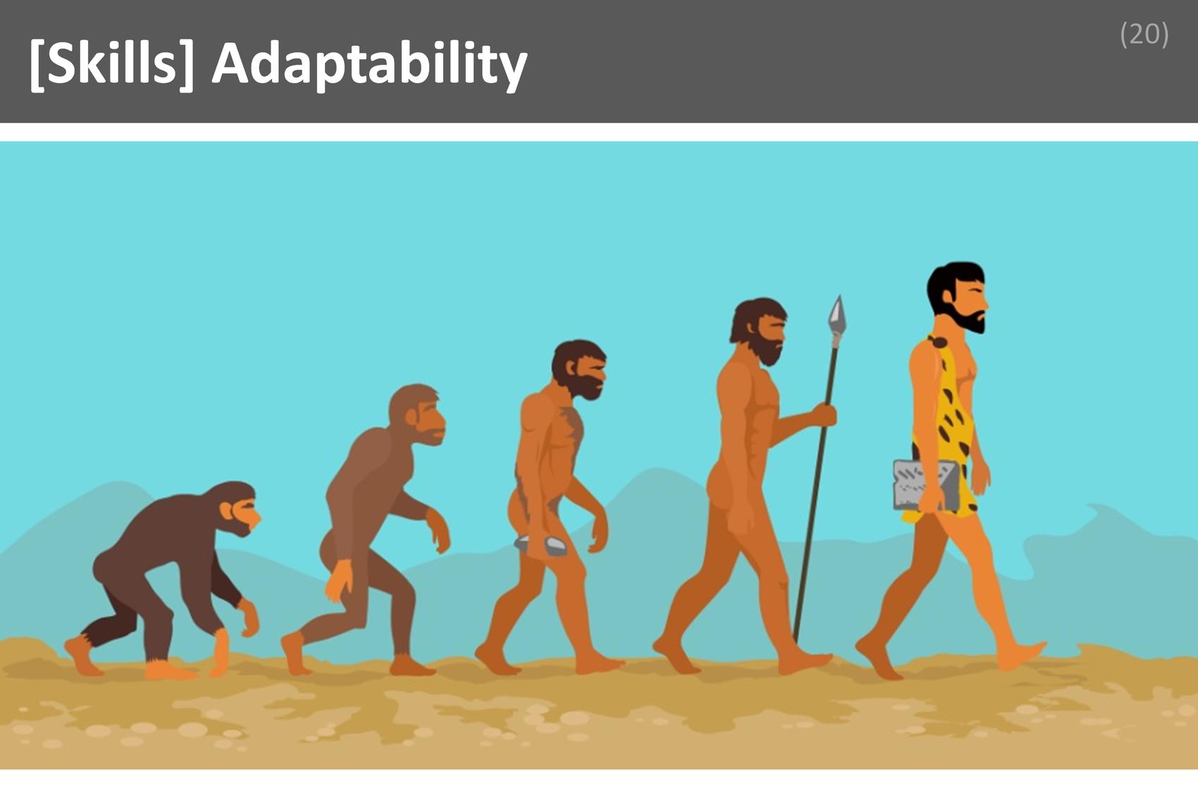 ### Adaptability Image