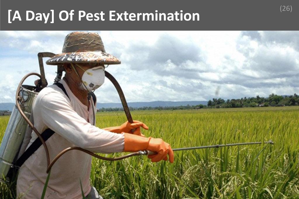 ### Pest Control Image