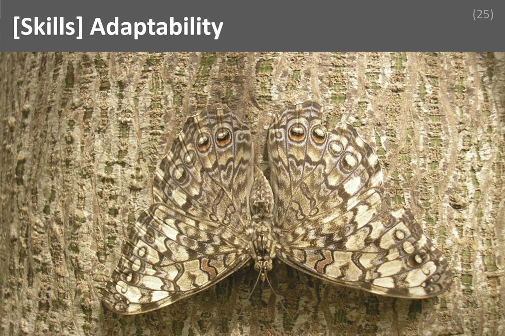 ### Adaptability Image