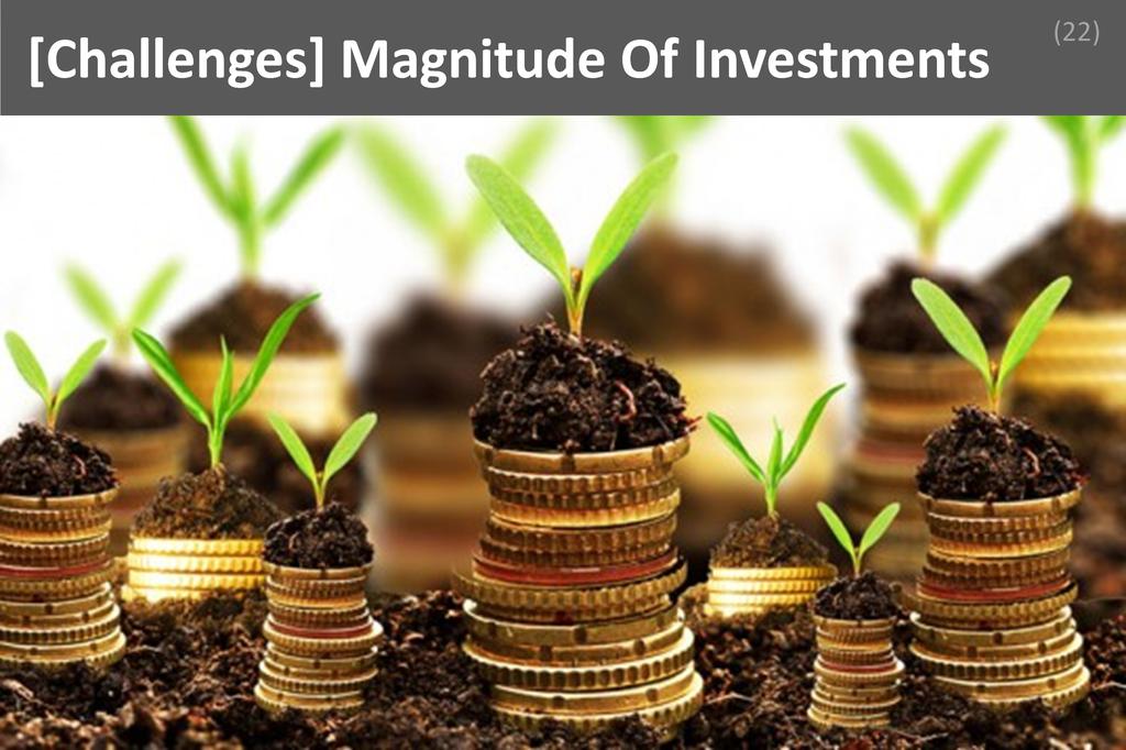 ### Magnitude Of Investments Image
