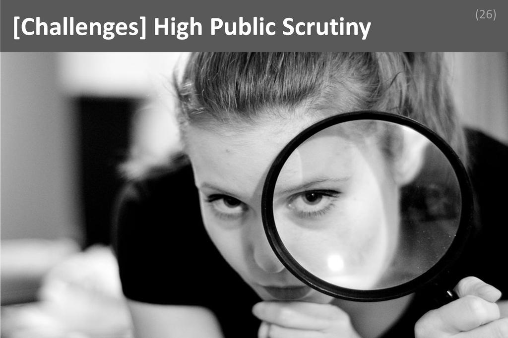 ### High Public Scrutiny Image