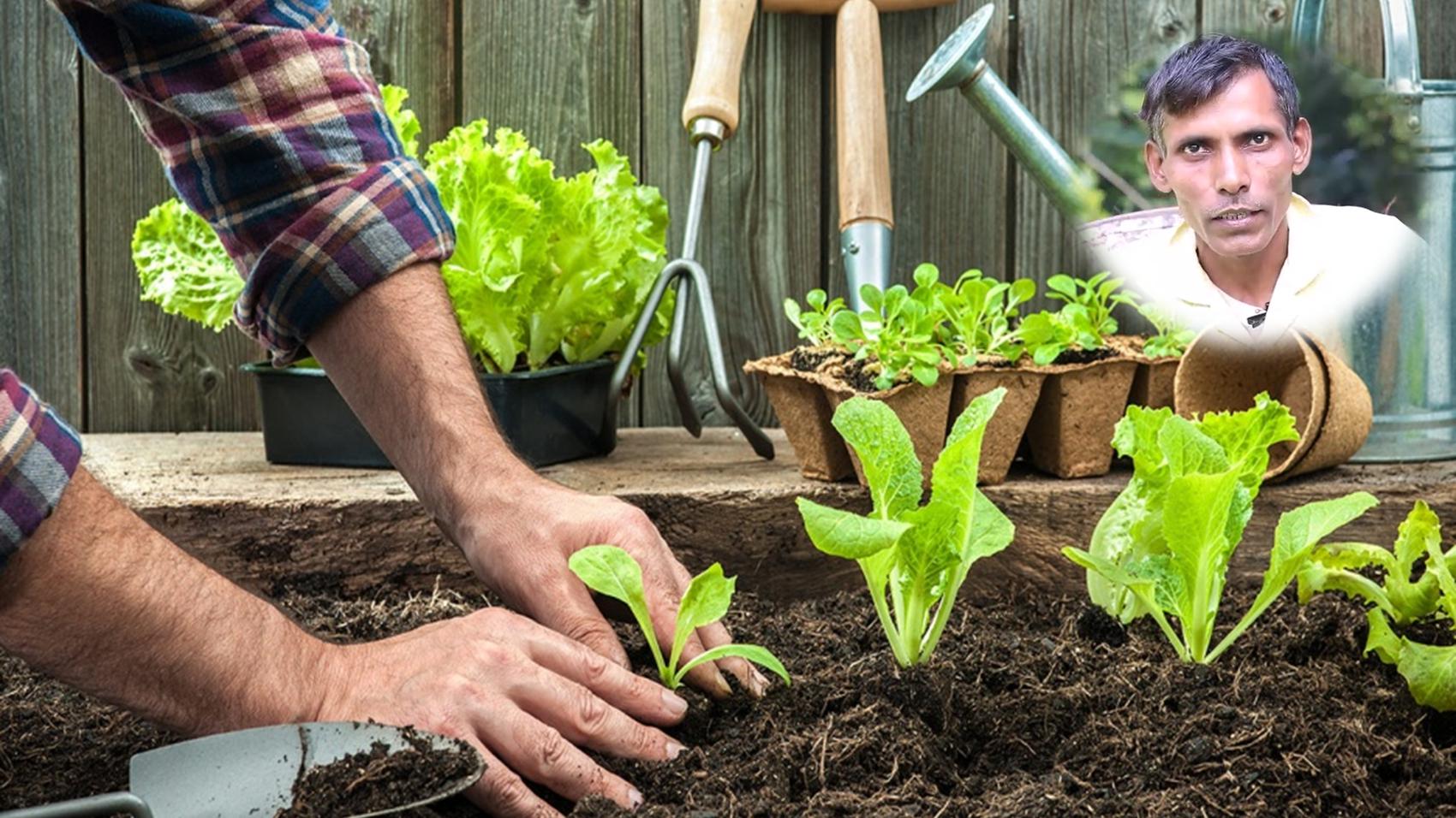 Career in Gardening