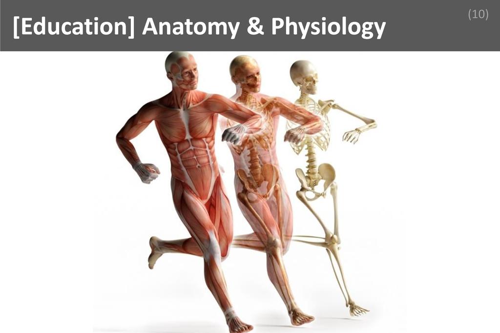 ### Anatomy and Physiology Image