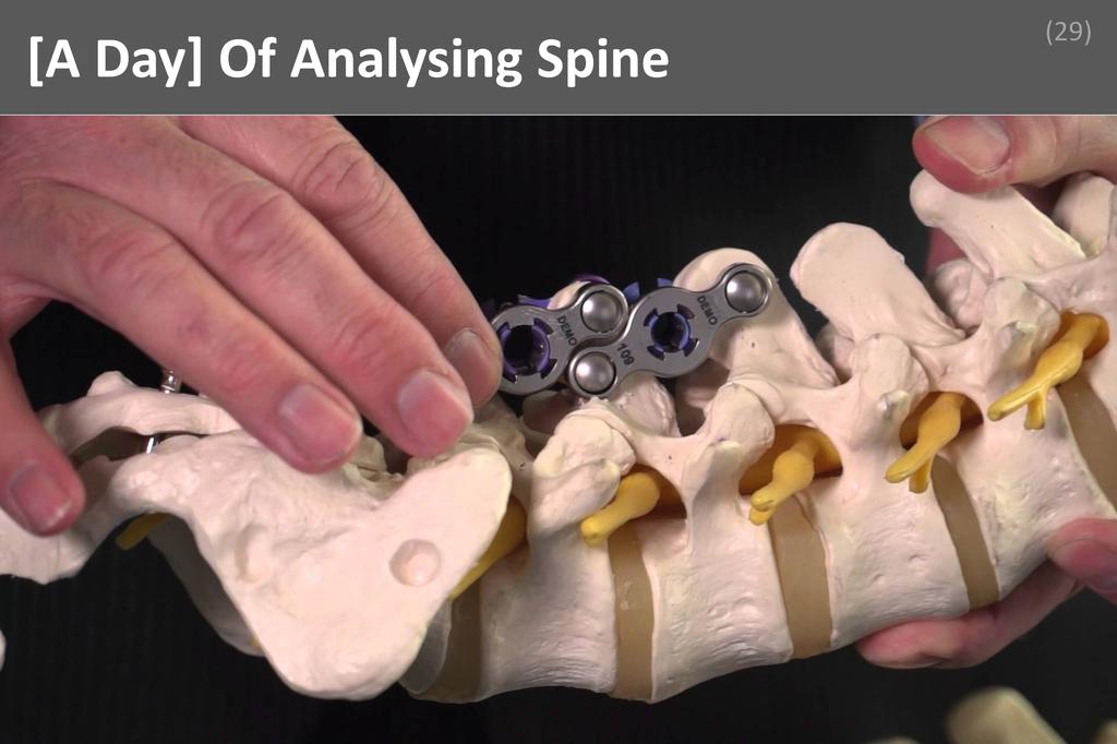 ### Pain and Spine Care Image