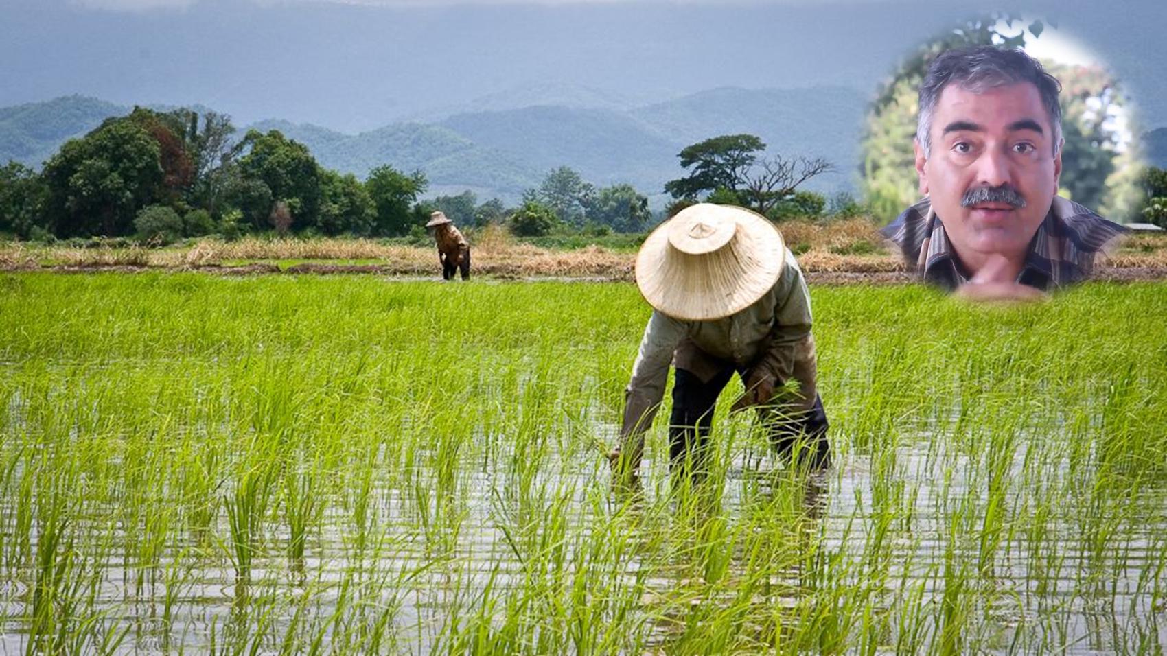 Career in Farming