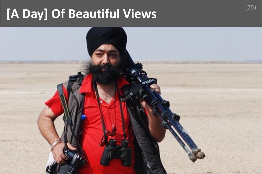 ### Birdwatching Image