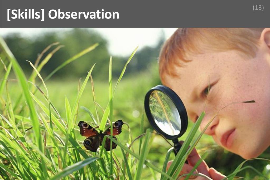 ### Observation Image