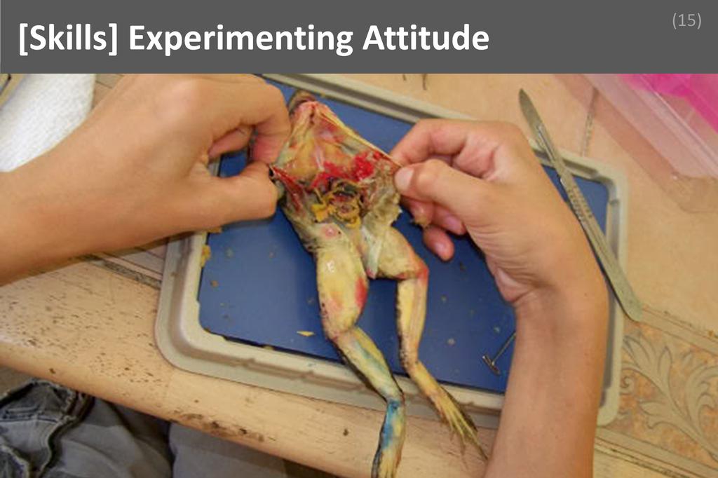 ### Experimenting Attitude Image