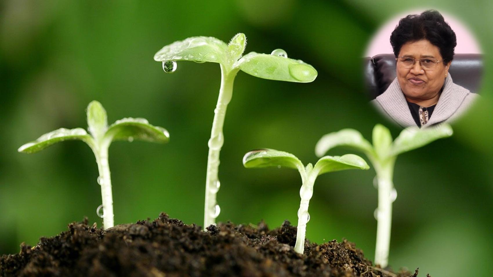Career in Ecological Conservation
