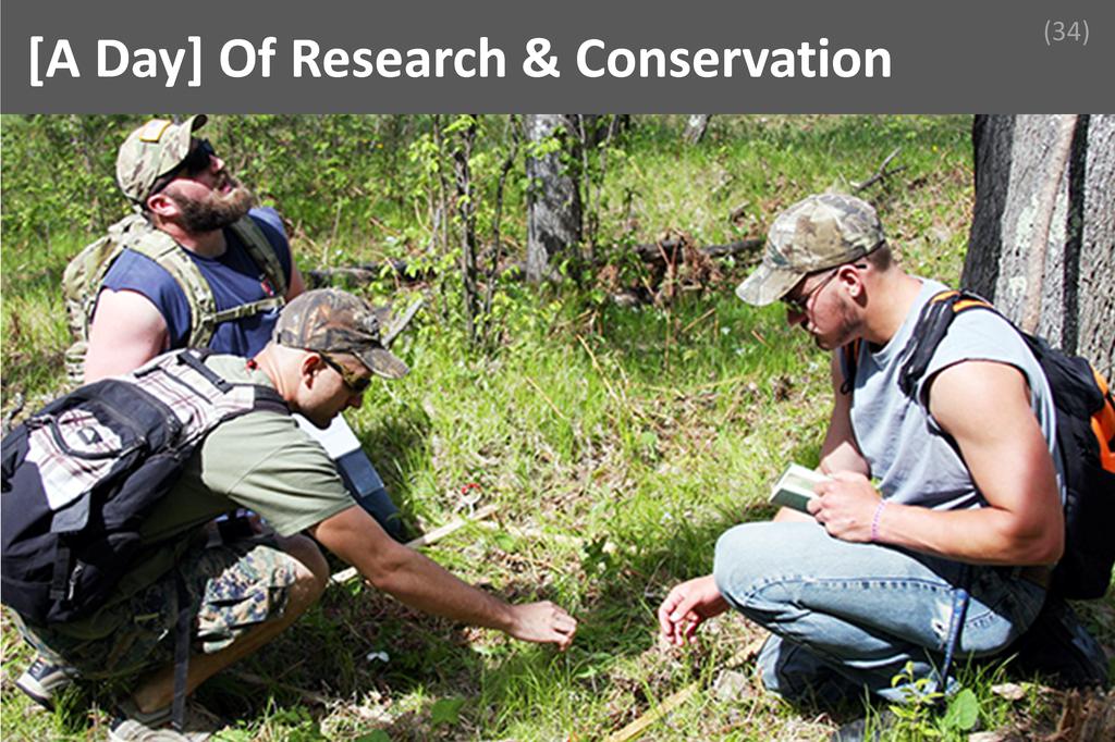 ### Natural Resource Management Image