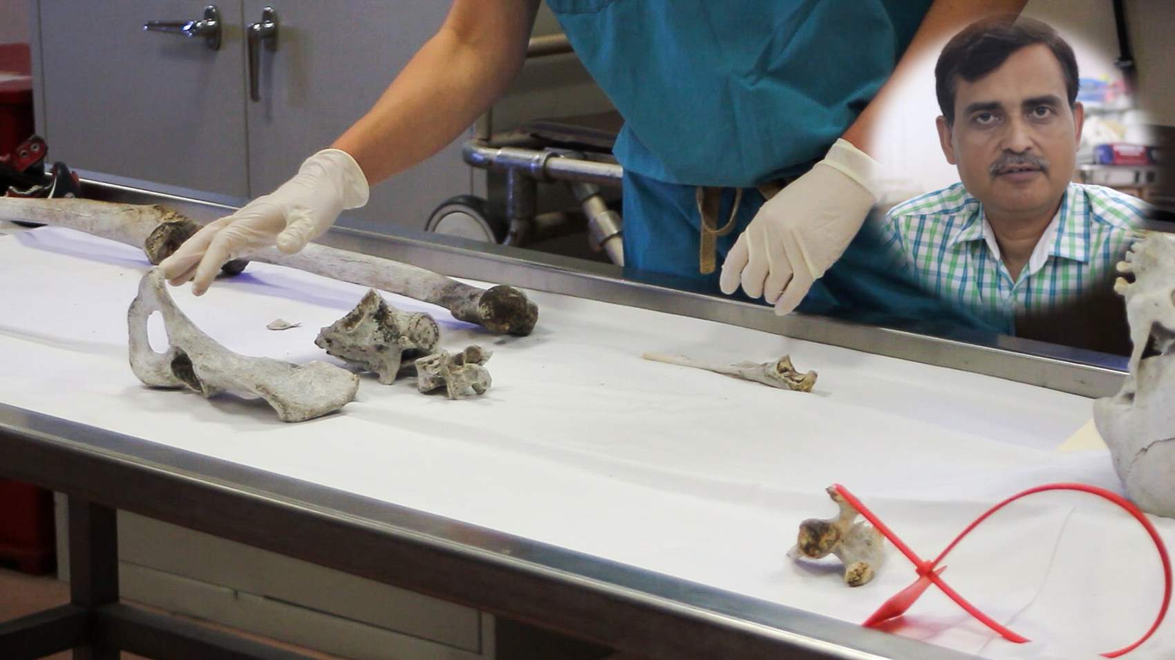 Career in Wildlife Forensic Science