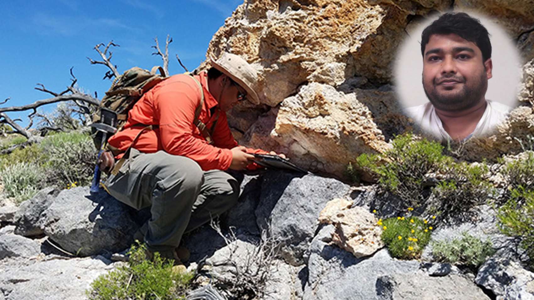 Career in Geology