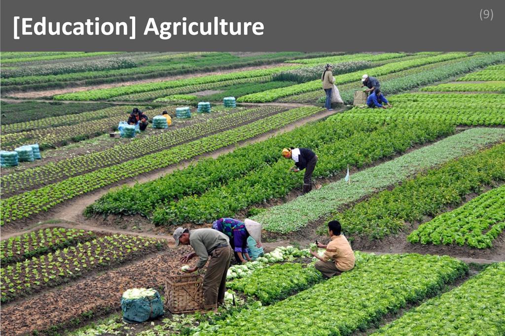 ### Agriculture Image